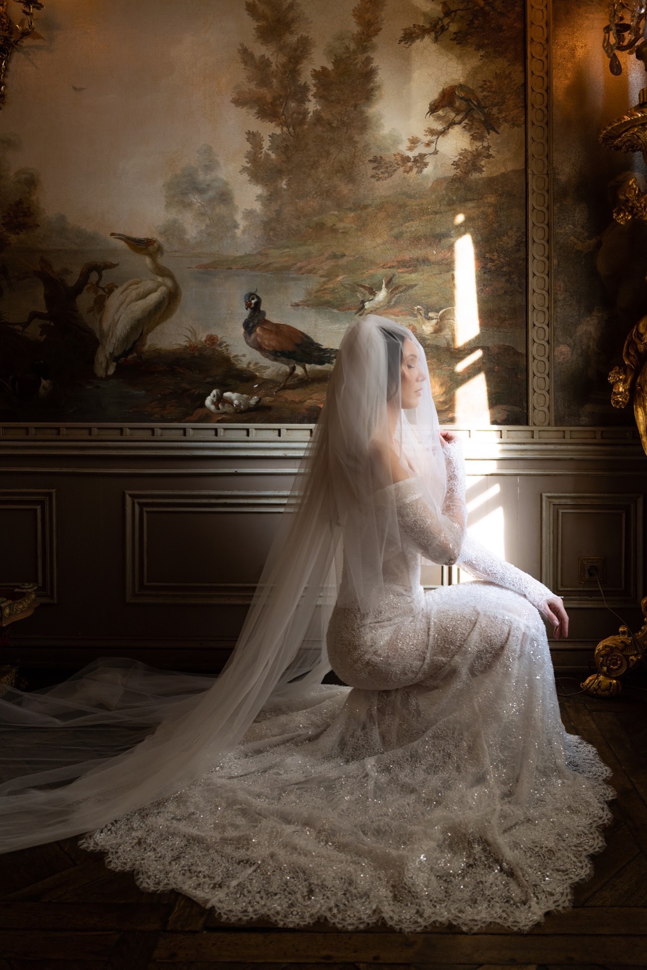 Falcon wedding dress by Rara Avis - View 6